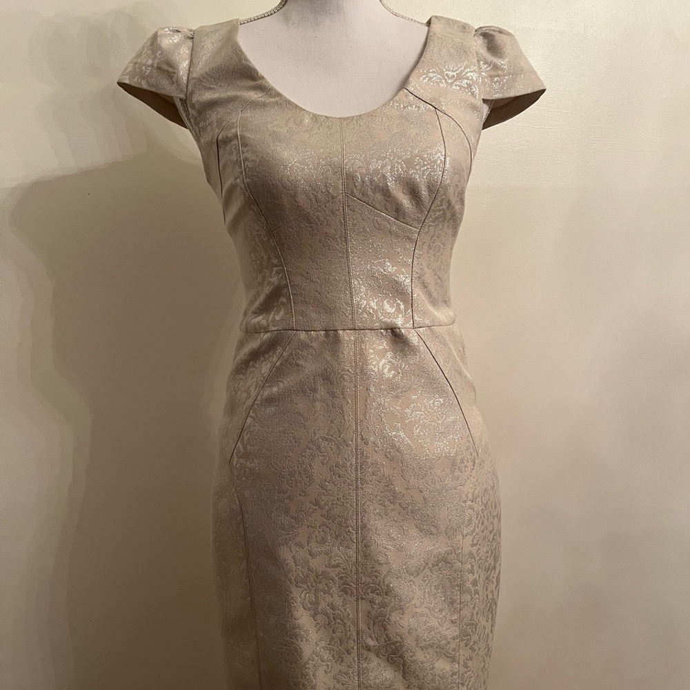 Anthropology YOANA Baraschi size 2 Cream & Silver Metallic Sheath Dress